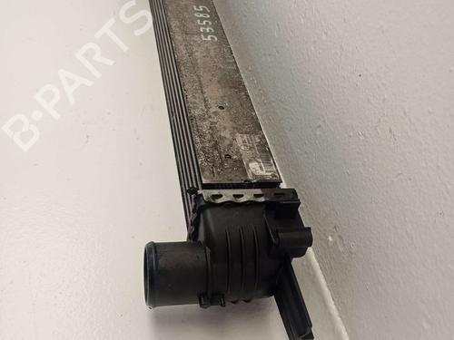 Intercooler PEUGEOT BIPPER (AA_) | BP36049591M30 - Image 2