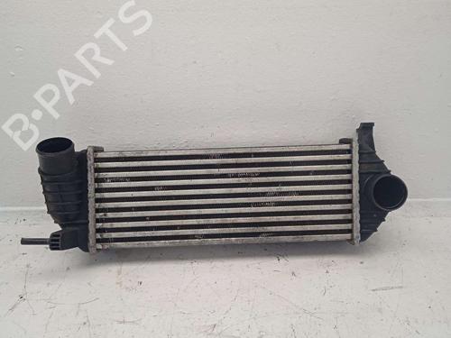 Used Intercooler Intercooler RENAULT KANGOO / GRAND KANGOO II (KW0/1_) [2008-2026] 33631354 33631354
