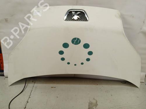 hood-peugeot-bipper-aa_-2008-4345209 main image