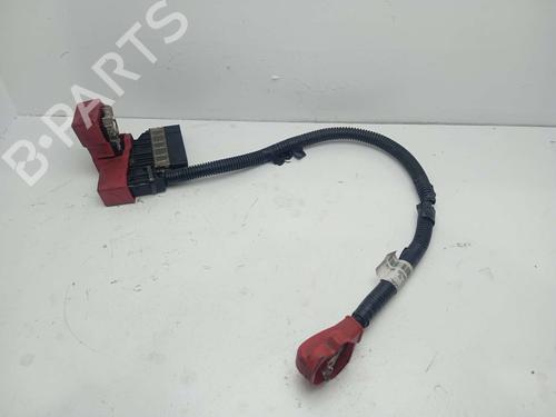 Used Cable NISSAN LEAF (ZE0) Electric (109 hp) 20235853
