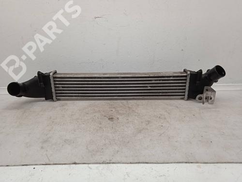 Used Intercooler Intercooler DACIA LOGAN (LS_) [2004-2026] 11162194 11162194