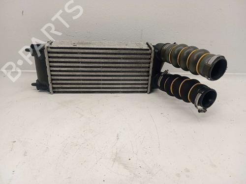 Used Intercooler PEUGEOT 3008 I MPV (0U_) 1.6 BlueHDi 120 (120 hp) 19677537