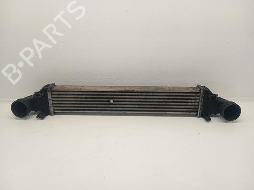 Intercooler MERCEDES-BENZ E-CLASS (W211) [2002-2009]  31616346