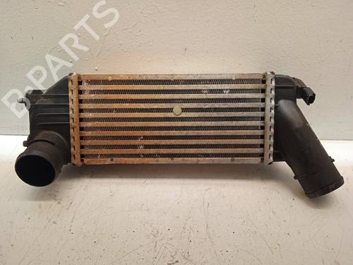 Used Intercooler Intercooler PEUGEOT 307 (3A/C) 2.0 HDi 110 (107 hp) 13553607 13553607