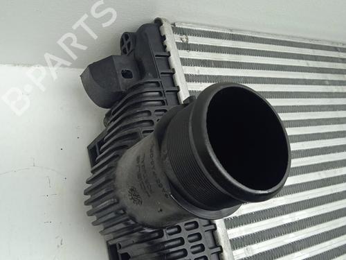 Intercooler ALFA ROMEO GIULIA (952_) 2.2 D (952ALA25, 952AFM25, 952APA2) | BP40020306M30  - Image 11