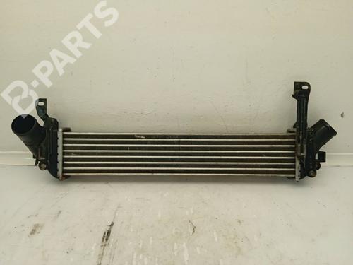 Used Intercooler Intercooler RENAULT KANGOO (KC0/1_) 1.5 dCi (84 hp) 11154512 11154512