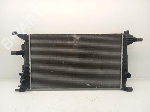 Used Water radiator RENAULT MEGANE III Coupe (DZ0/1_) [2008-2016]  31620468