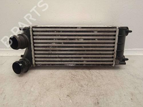 Used Intercooler Intercooler PEUGEOT 3008 I MPV (0U_) [2009-2017] 11161068 11161068