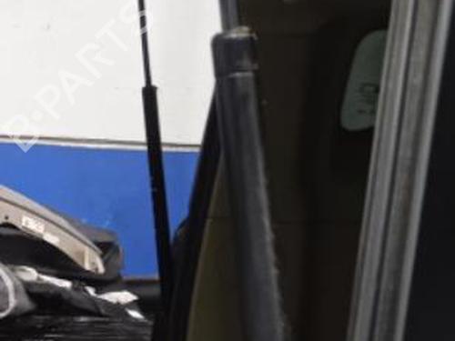 Used Tailgate lift support SSANGYONG RODIUS I [2005-2026]  24333045