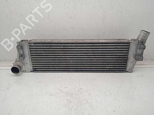 Used Intercooler RENAULT GRAND SCÉNIC II (JM0/1_) [2004-2009]  12447109