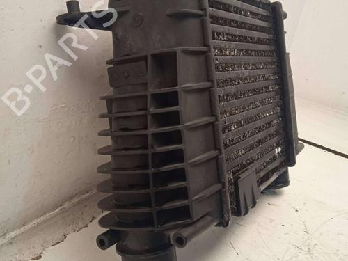 Intercooler RENAULT MODUS / GRAND MODUS (F/JP0_) 1.5 dCi (FP0D, JP0D) | BP11157526M30
