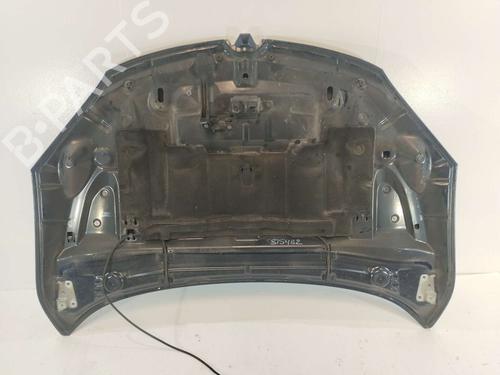 Hood RENAULT MEGANE III Hatchback (BZ0/1_, B3_) | BP31614613C1