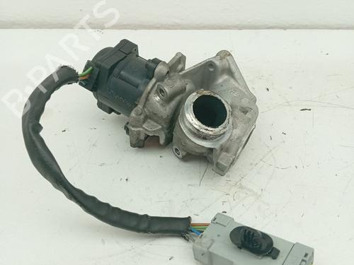 Used Egr Egr 38910990 38910990