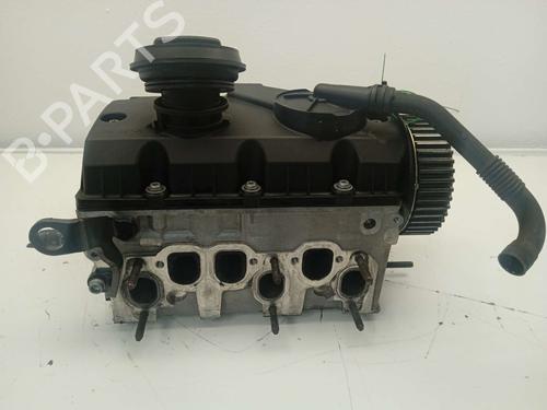 Used Cylinder head SEAT IBIZA III (6L1) [2002-2009]  26214075