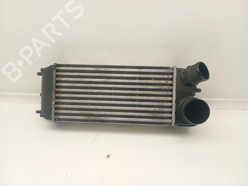 Intercooler FORD FIESTA VI (CB1, CCN) [2008-2026]  31619500