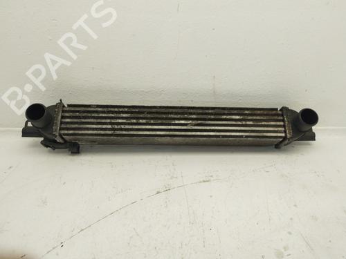 Used Intercooler Intercooler CITROËN NEMO MPV 1.3 HDi 75 (75 hp) 40020344 40020344