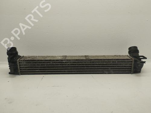 Intercooler RENAULT MEGANE III Hatchback (BZ0/1_, B3_) [2008-2026]  31614653
