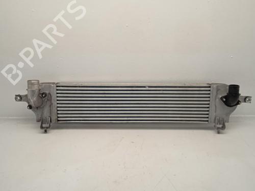 Intercooler NISSAN QASHQAI I (J10, NJ10) [2006-2015]  31619397