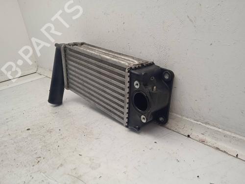 Intercooler TOYOTA AURIS (_E15_) 1.4 D-4D (NDE150_, NDE150R) | BP11158825M30