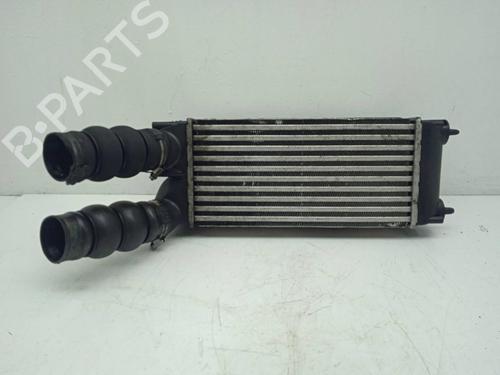 Used Intercooler PEUGEOT 3008 I MPV (0U_) 1.6 HDi (109 hp) 12581620