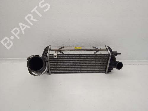 Intercooler KIA SPORTAGE III (SL) [2009-2017]  31618451