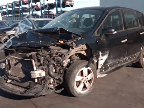 Glove box RENAULT SCÉNIC III (JZ0/1_)  | BP20491643C95 