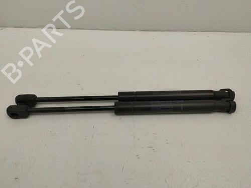 hood-lift-support-land-rover-range-rover-evoque-l538-2011-2012-2013-2014-2015-2016-2017-2018-2019-25789239 main image