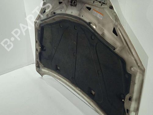 Hood CHEVROLET CAPTIVA (C100, C140)  | BP31621035C1 