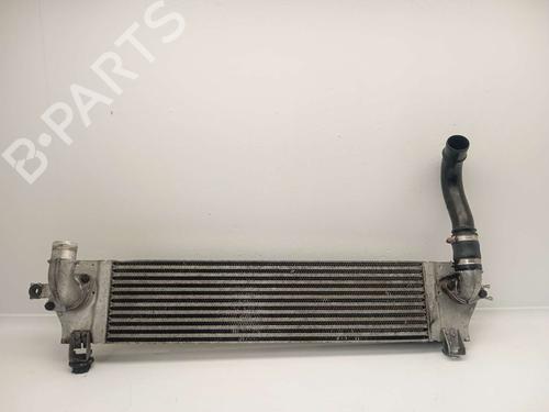 Used Intercooler NISSAN QASHQAI I (J10, NJ10) 1.5 dCi (106 hp) 18735449