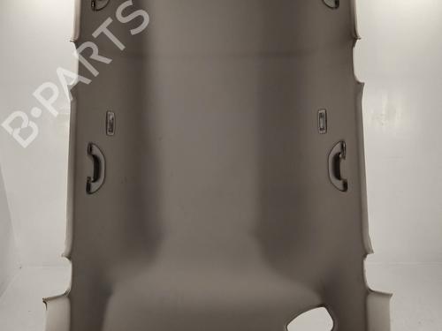 Used Interior roof SKODA YETI (5L) 2.0 TDI (140 hp) 12320496