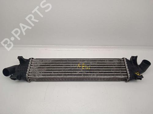Intercooler FORD S-MAX (WA6) | BP22755891M30
