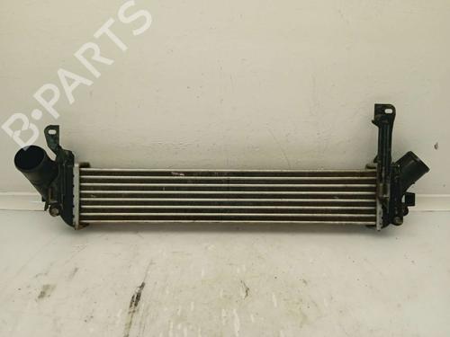 Used Intercooler RENAULT KANGOO (KC0/1_) 1.5 dCi (68 hp) 11154512