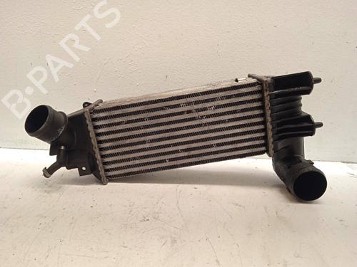 Intercooler CITROËN C5 II (RC_) 2.2 HDi (RC4HXE) | BP4295641M30 - Image 3