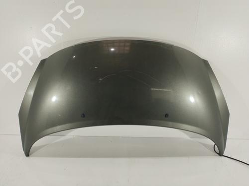 hood-peugeot-207-wa_-wc_-16-hdi-7901n2-color-gris-2006-2007-2008-2009-2010-2011-2012-2013-2014-2015-16697713 main image