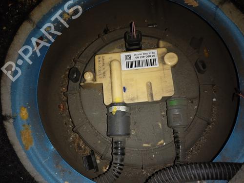 Fuel pump CITROËN C3 Picasso (SH_) | BP24614394M76