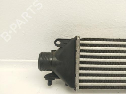 Intercooler LANCIA DELTA III (844_) | BP40534177M30 - Image 8