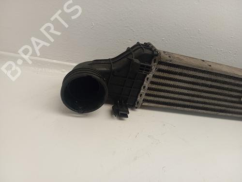 Intercooler MERCEDES-BENZ E-CLASS (W211) | BP31616346M30
