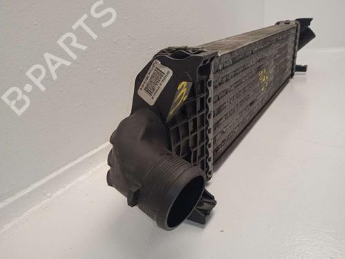 Intercooler FORD S-MAX (WA6) | BP22755891M30