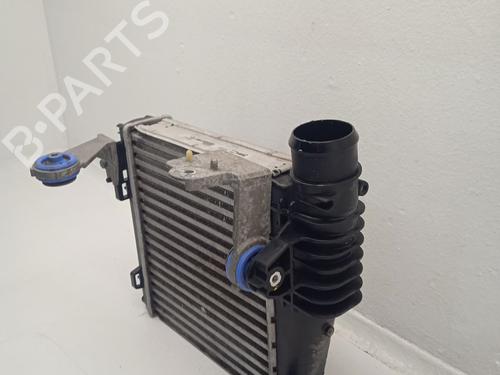 Intercooler CITROËN C4 Picasso I MPV (UD_)  | BP31619095M30 