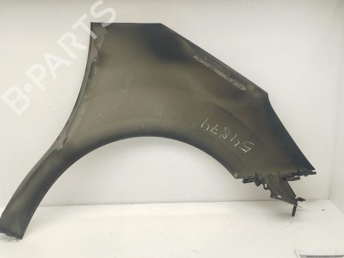 Left front fenders CITROËN C3 II (SC_) 1.4 VTi 95 | BP32322610C41