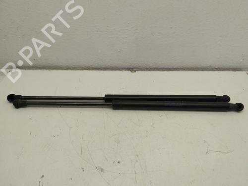 tailgate-lift-support-fiat-500-312_-2007-34475364 main image