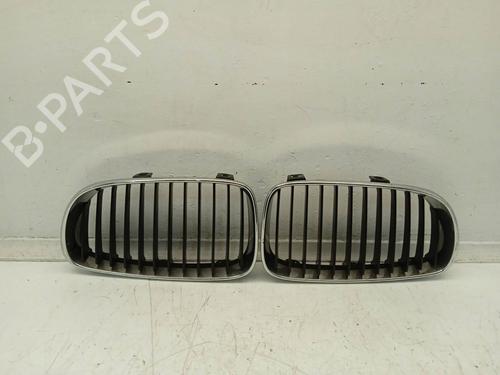 Used Grille BMW 1 (F20) 116 d (116 hp) 4371993