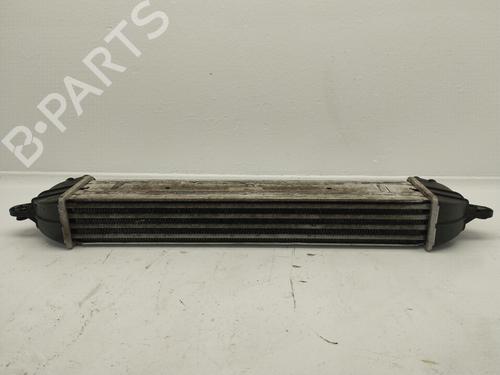 Intercooler FIAT DOBLO Box Body/MPV (223_) [2000-2026]  31615489