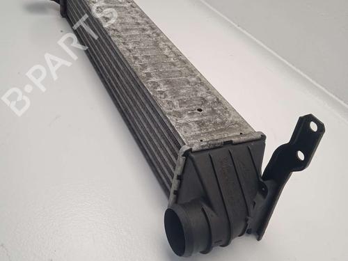 Intercooler SEAT ALHAMBRA (7V8, 7V9) | BP21219331M30