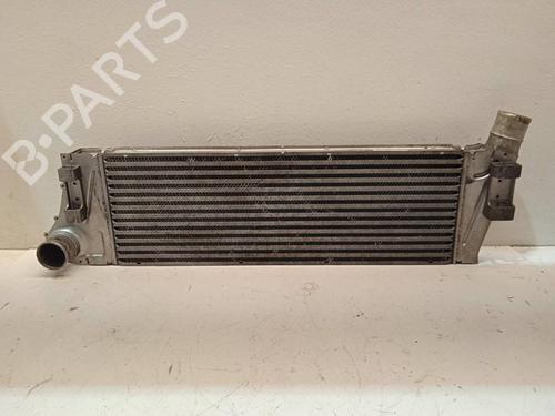 Used Intercooler RENAULT SCÉNIC II (JM0/1_) 1.9 dCi (JM0G, JM12, JM1G, JM2C) (120 hp) 4307585