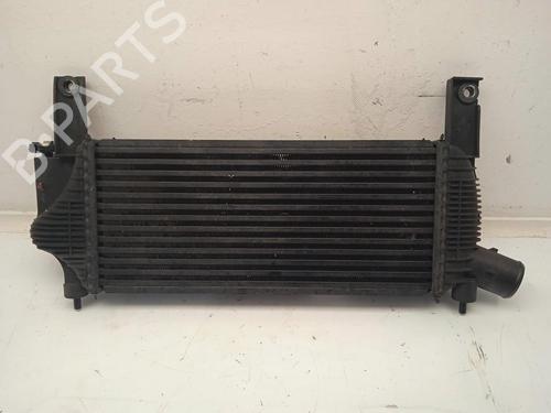 intercooler-nissan-pathfinder-iii-r51-14461eb360-2005-11155330 main image
