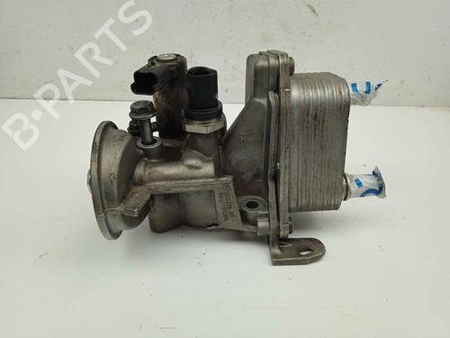 Used Oil radiator FORD MONDEO V Hatchback (CE) [2014-2026]  13963287