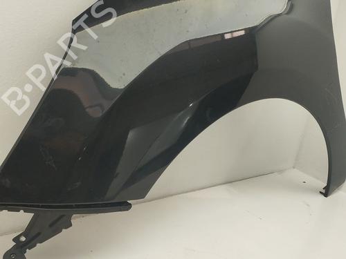 Left front fenders CITROËN C3 II (SC_) 1.4 VTi 95 | BP32322610C41