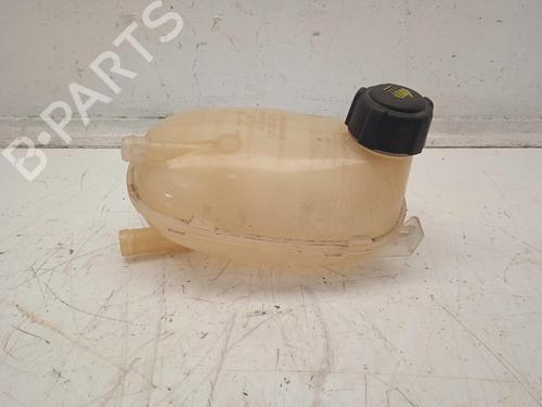 Used Expansion tank RENAULT CLIO V (B7_) [2019-2026]  15249562