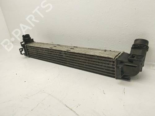 Intercooler RENAULT MEGANE III Hatchback (BZ0/1_, B3_) | BP31806236M30
